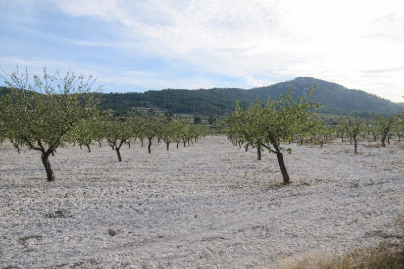 7 sovrum Lantställe till salu