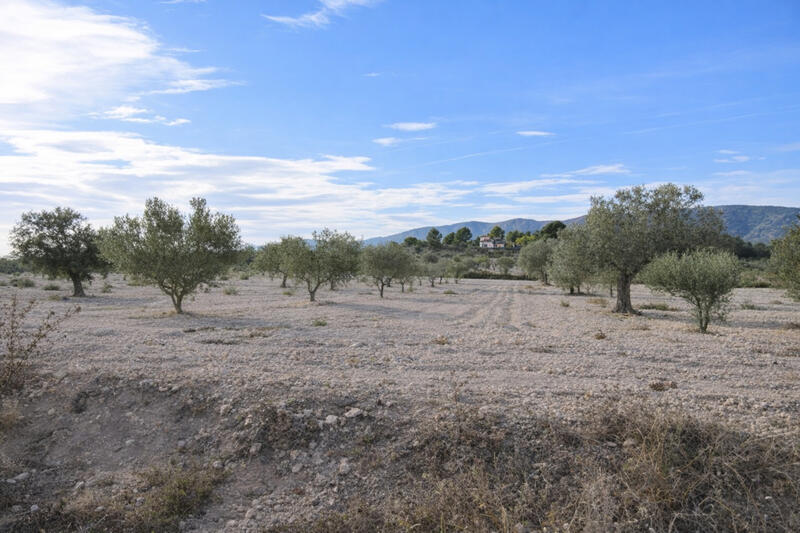 7 sovrum Lantställe till salu