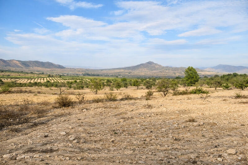 7 sovrum Lantställe till salu