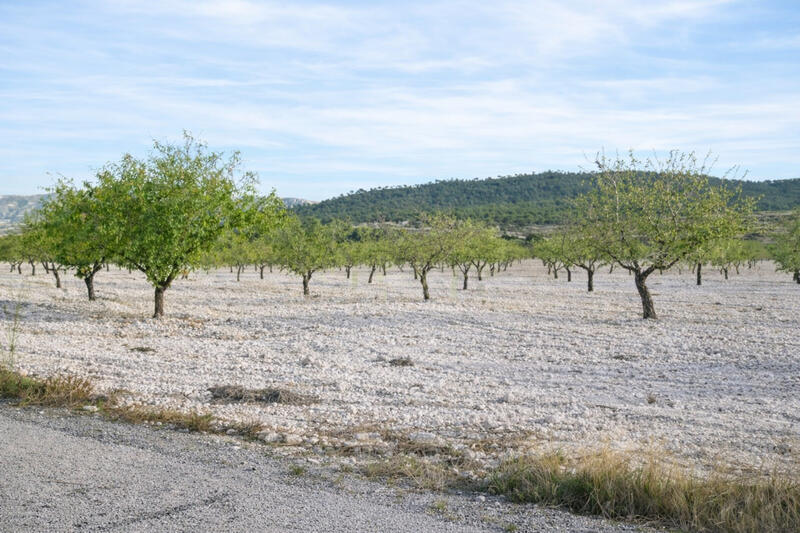 7 sovrum Lantställe till salu