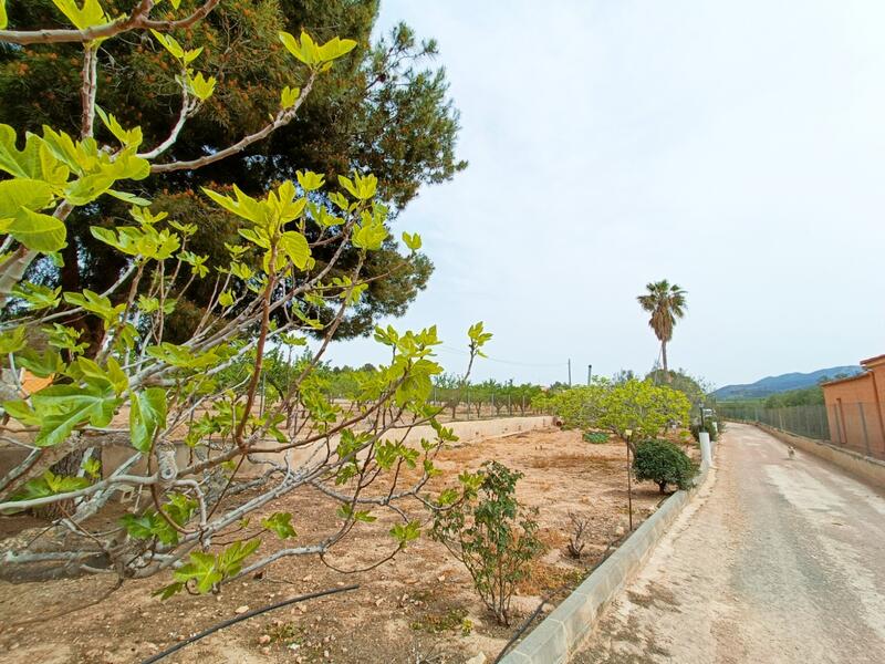 4 Cuarto Villa en venta