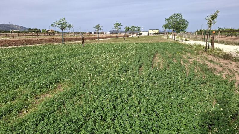 3 soveværelse Villa til salg