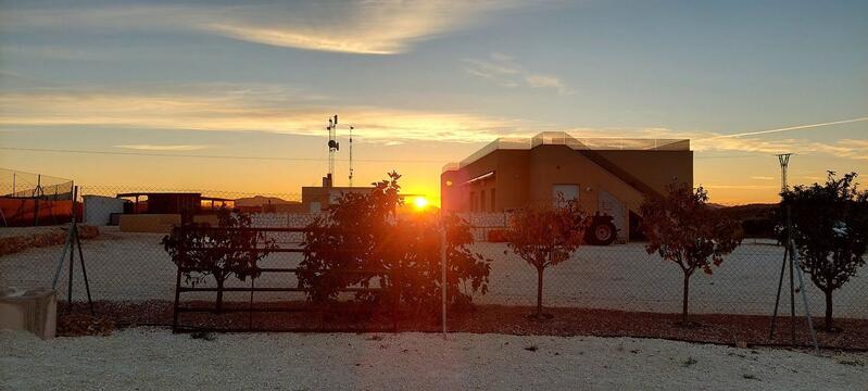 3 soveværelse Villa til salg