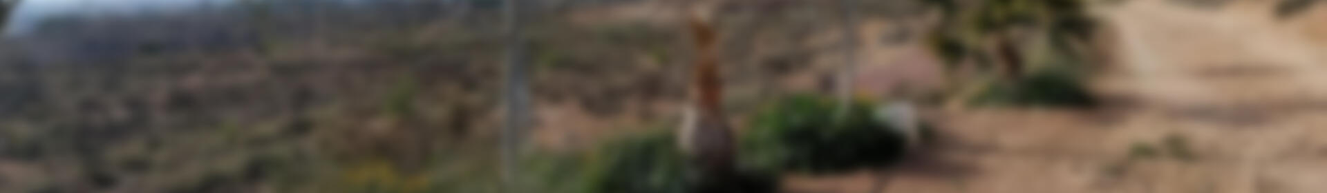 2 soverom Grottehuset til salgs