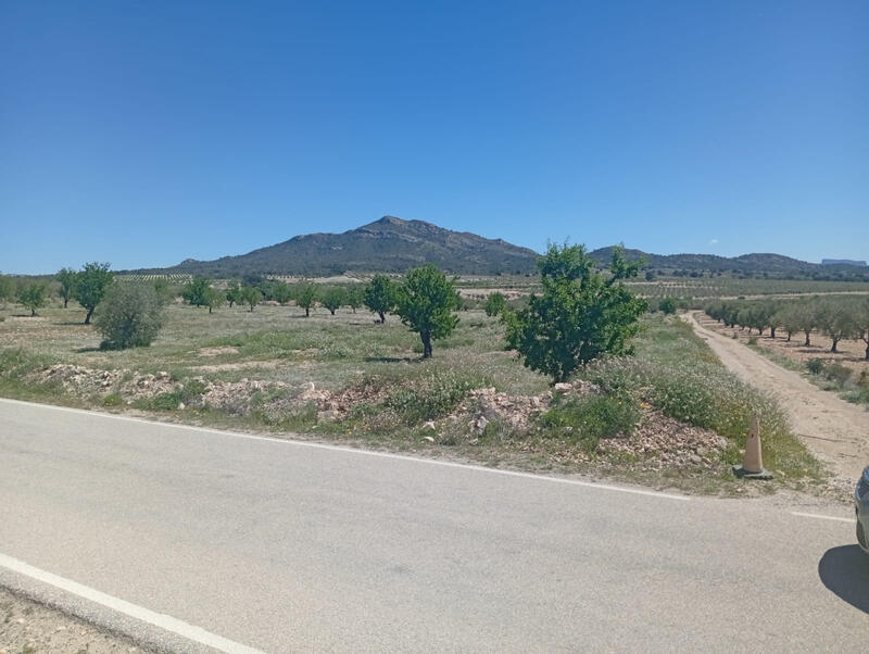 Appartement à vendre dans Salinas, Alicante