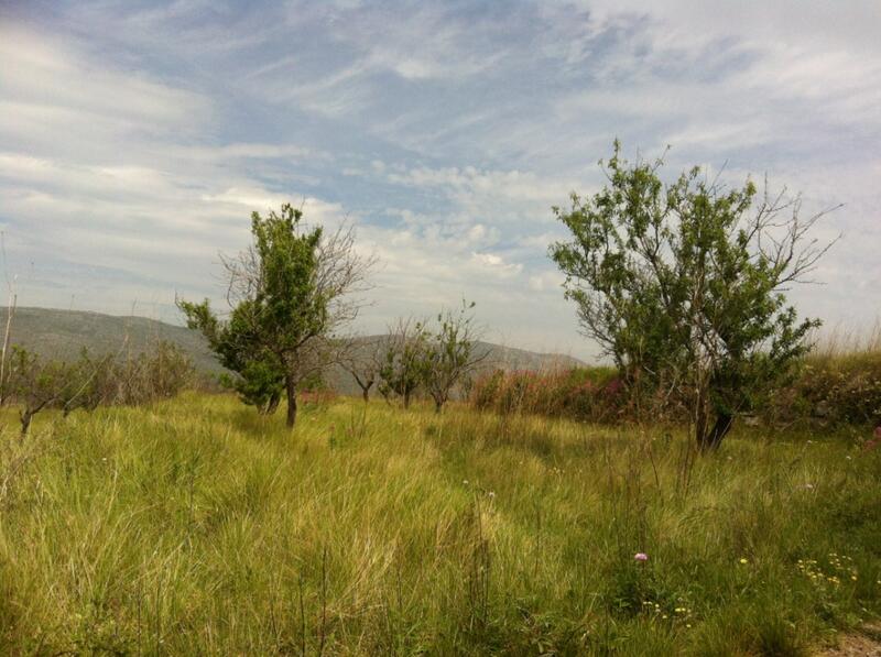 Villa for sale