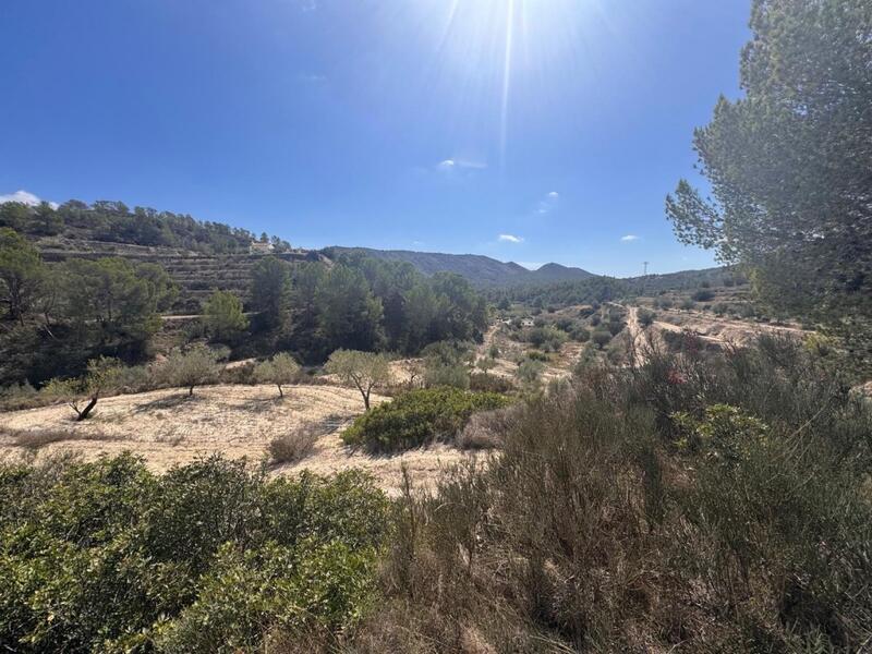 Lantställe till salu