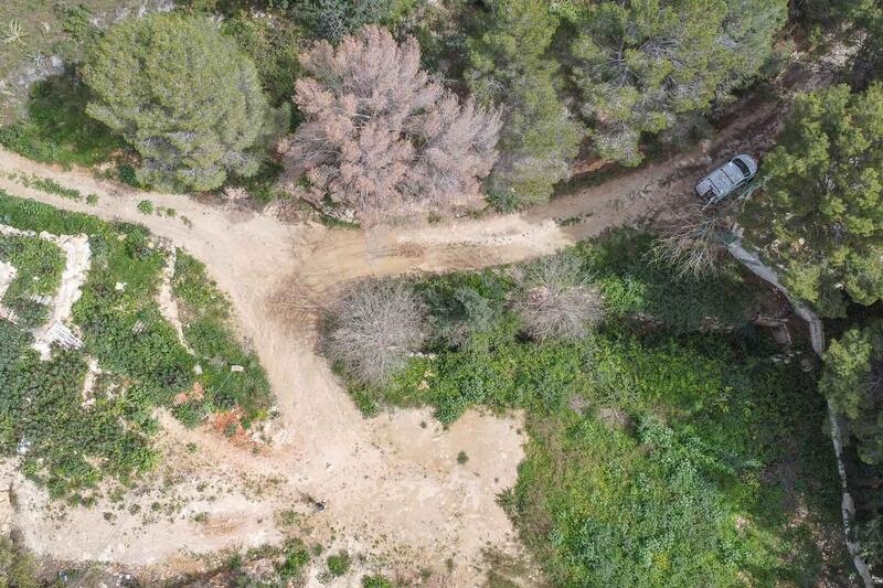 4 soveværelse Villa til salg