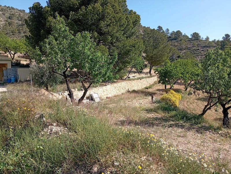 2 bedroom Cave House for sale