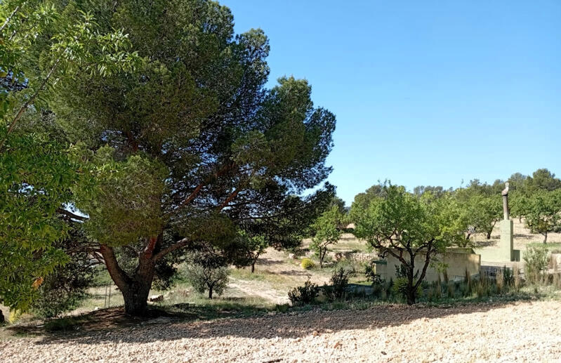 2 bedroom Cave House for sale