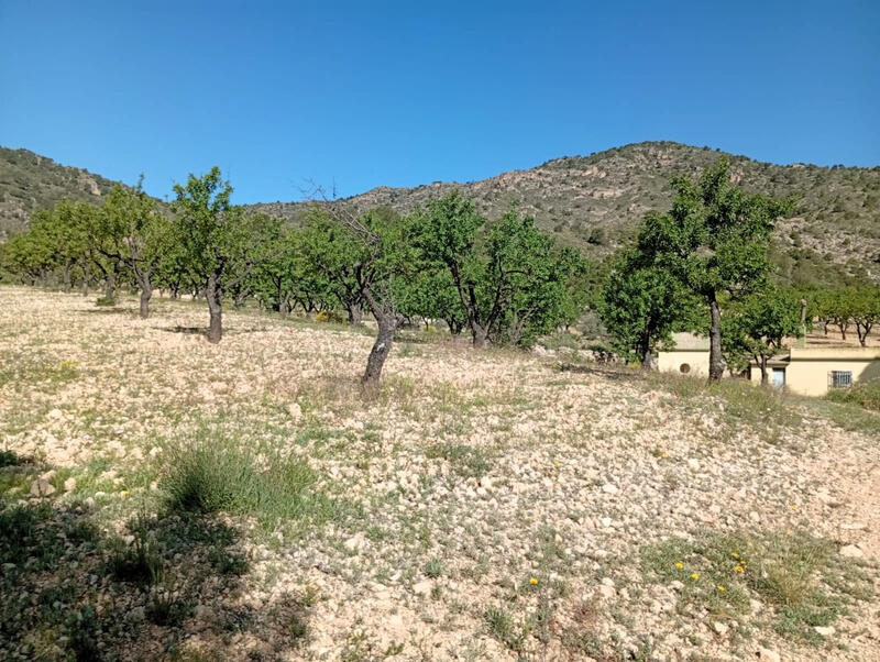 2 bedroom Cave House for sale