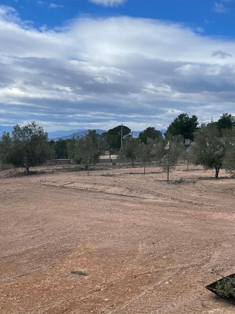 4 bedroom Country House for sale
