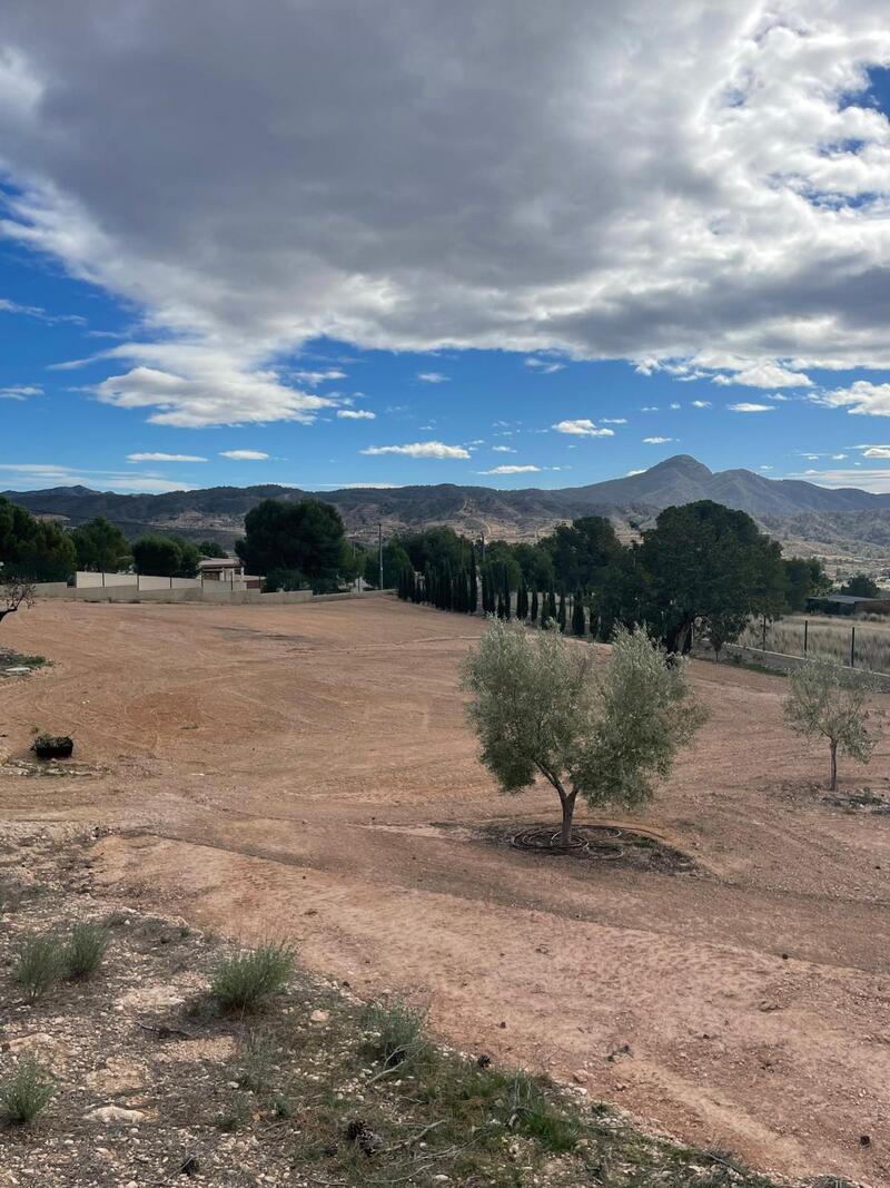 4 bedroom Country House for sale