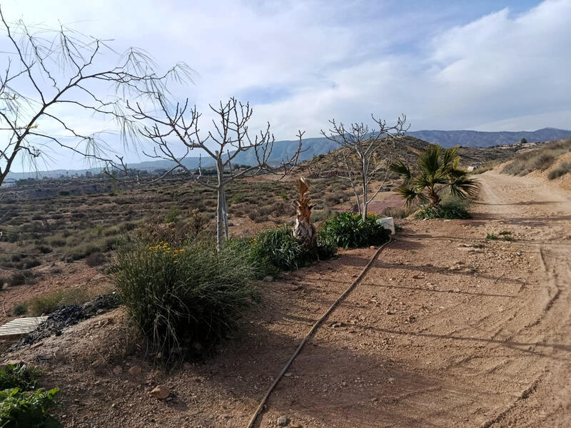 Grottehus til salg i Monóvar, Alicante