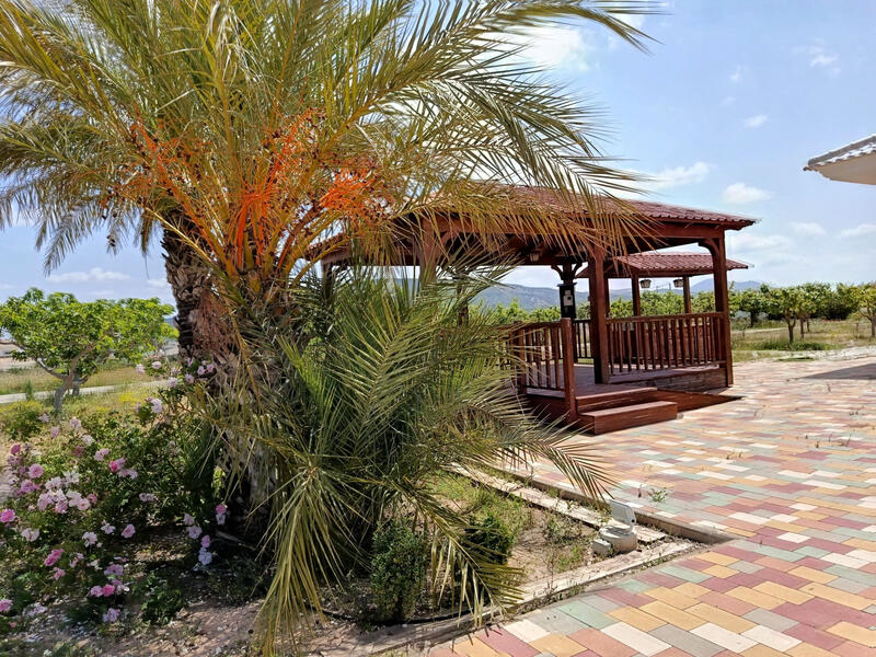 4 Cuarto Villa en venta