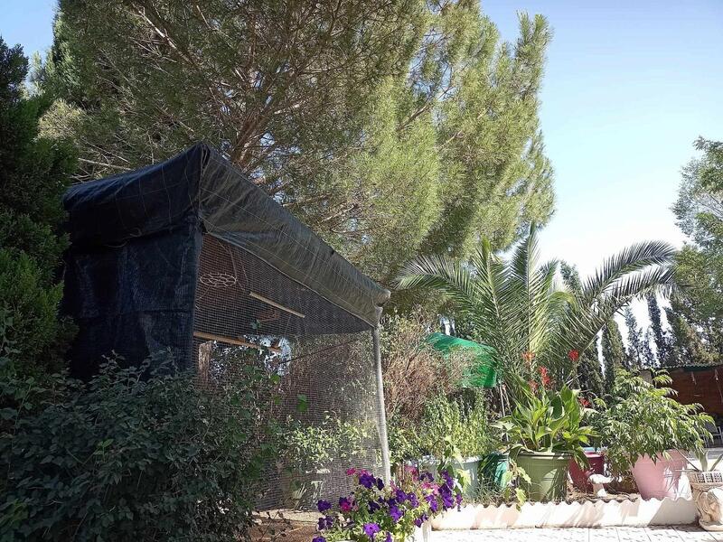 5 chambre Villa à vendre