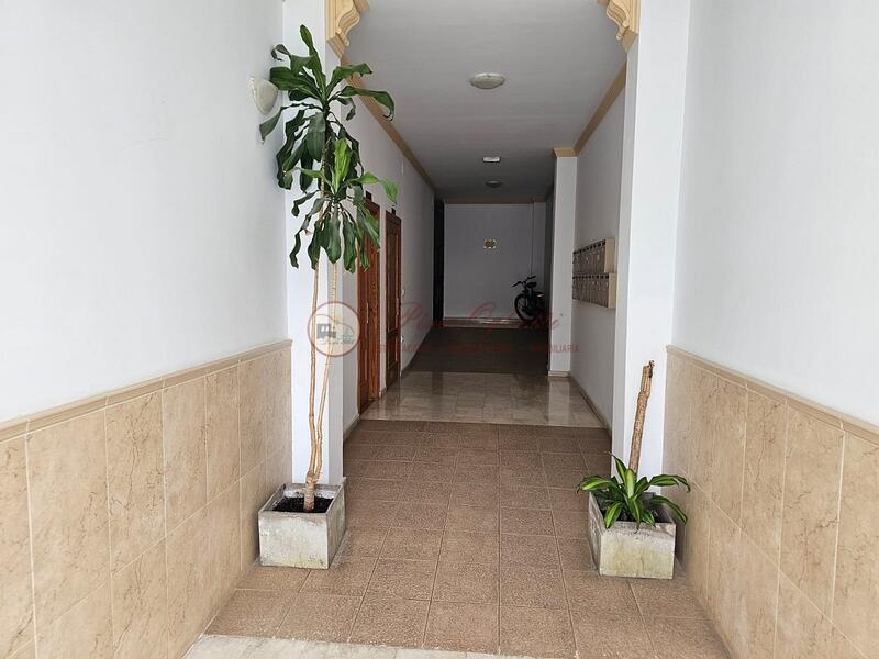 3 chambre Appartement à vendre