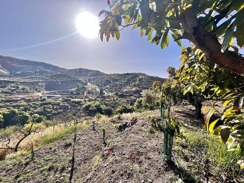 Terrain à vendre dans Torrox, Málaga