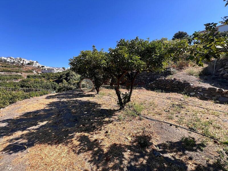 Terrain à vendre