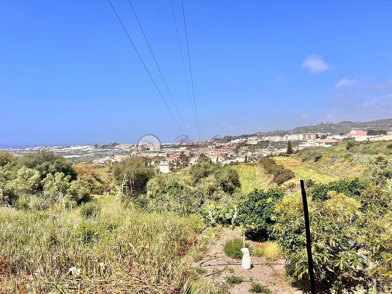 земля продается земля продается