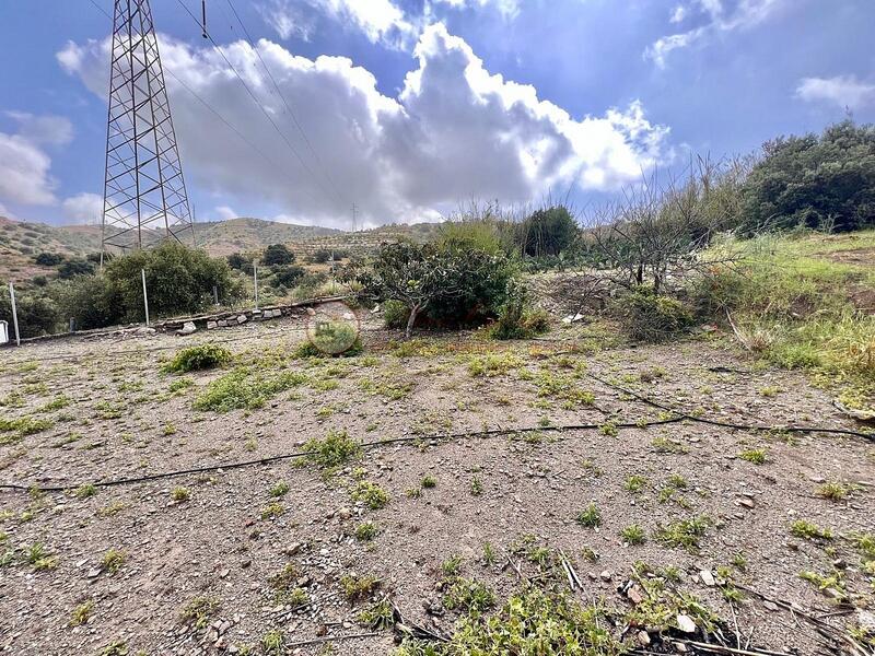 земля продается земля продается