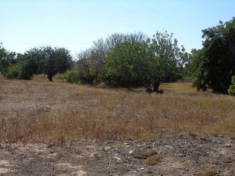 3 bedroom Country House for sale