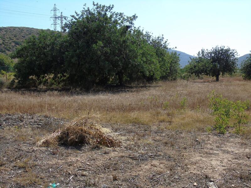 3 bedroom Country House for sale