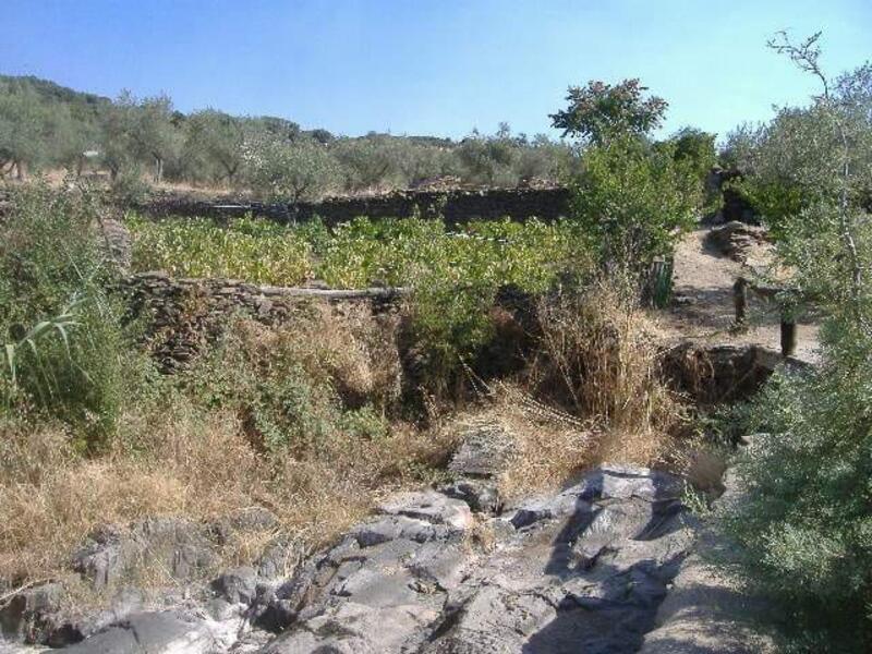 Auberge à vendre