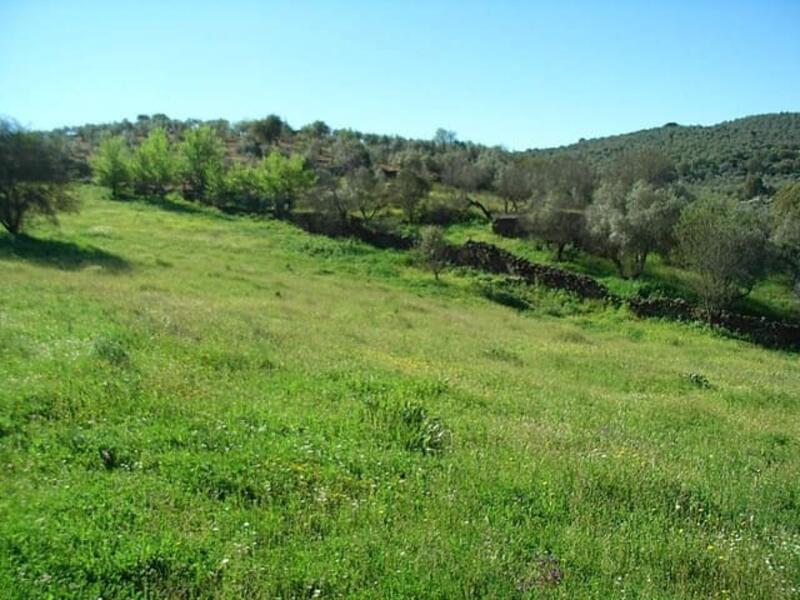 Terrenos en venta