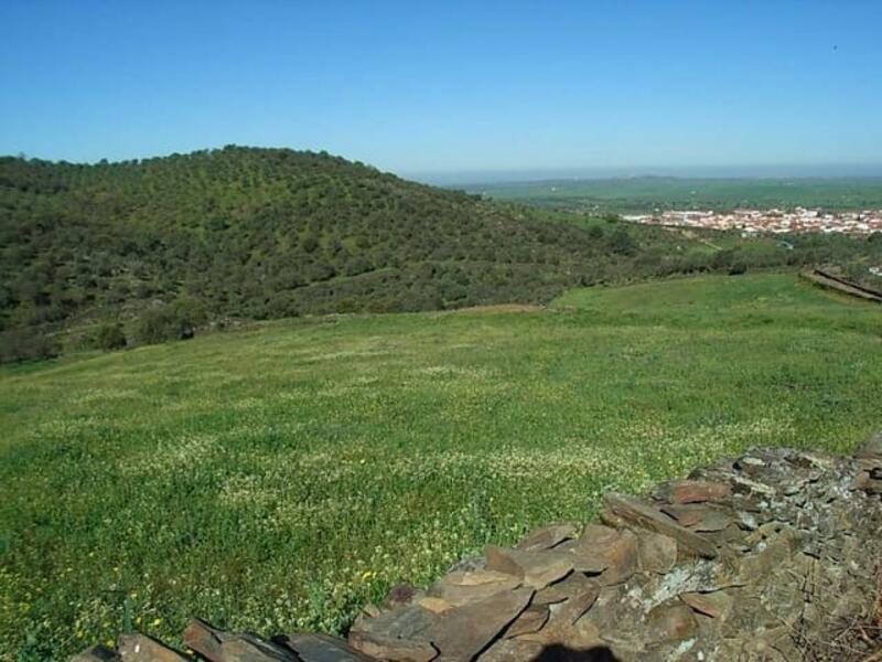 Terrain à vendre