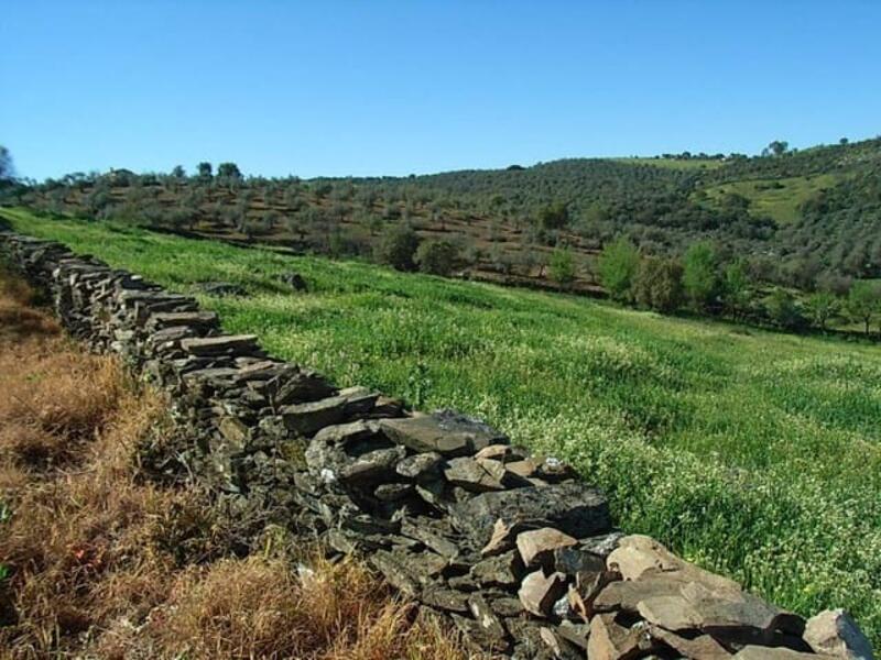 Terrain à vendre