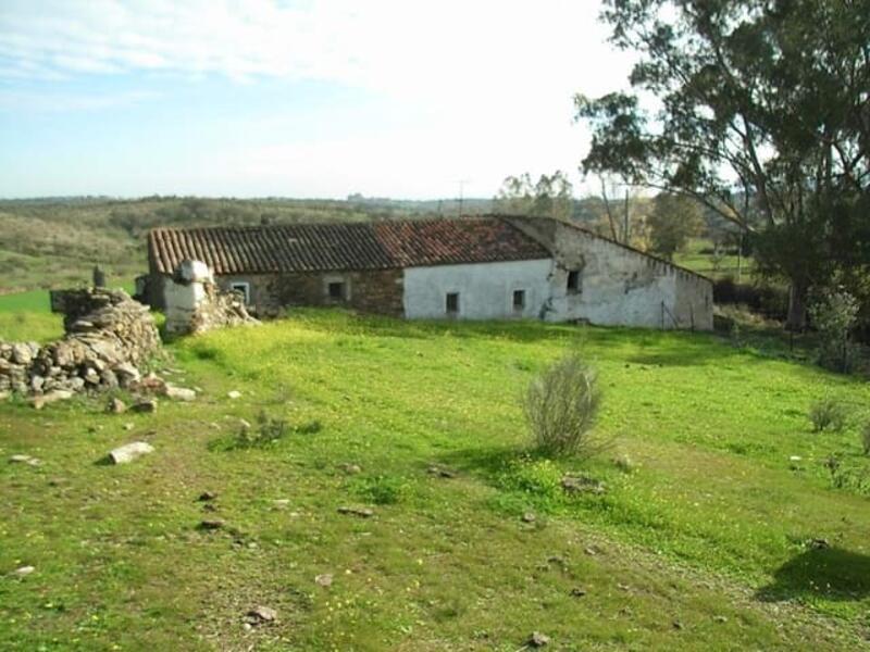 Casa de Campo en venta