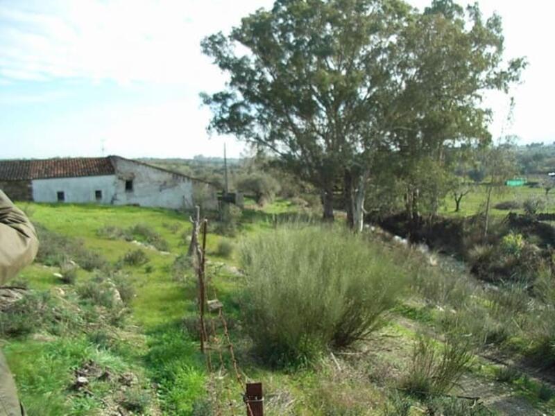 Auberge à vendre