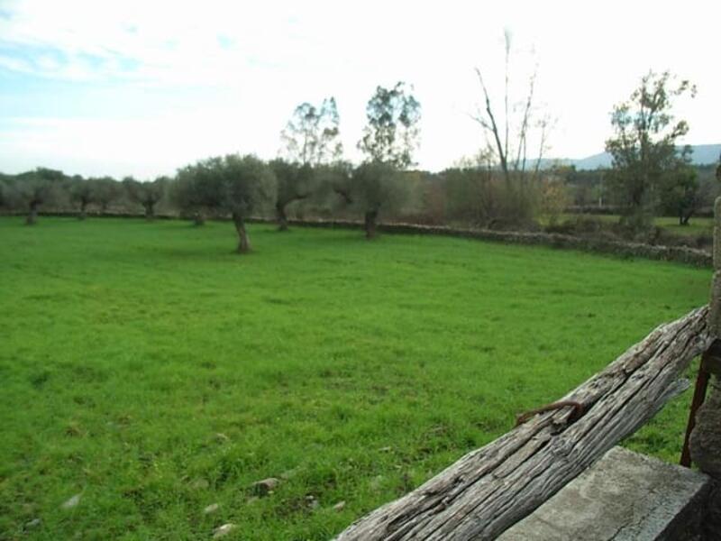 Auberge à vendre