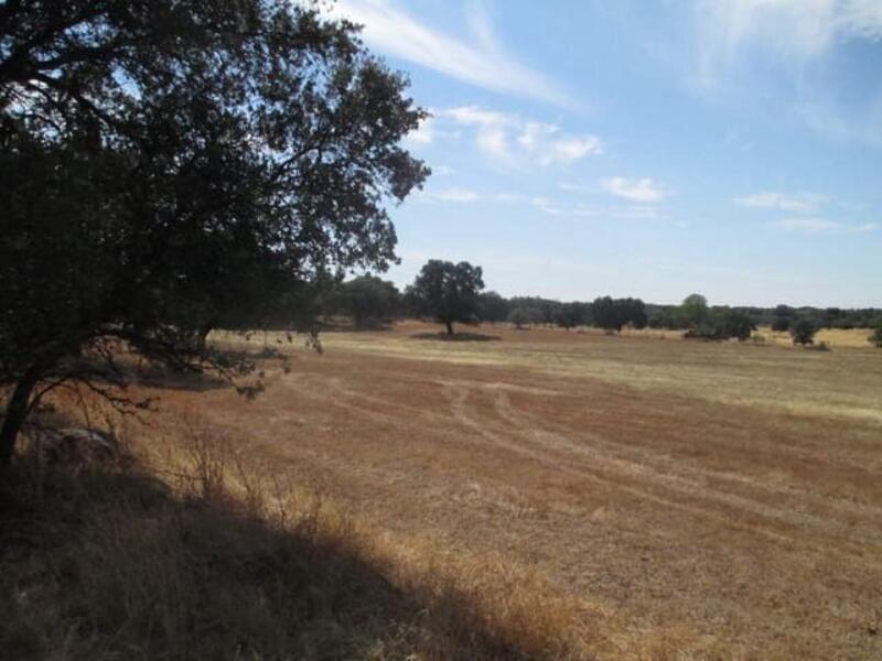 Land til salgs i Herguijuela, Cáceres