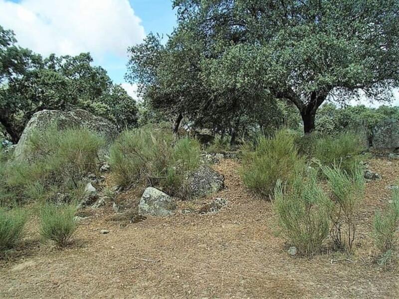 Land for sale in Arroyomolinos, Cáceres