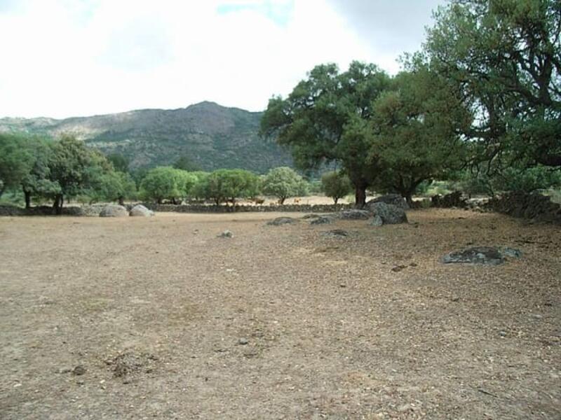 Land for sale