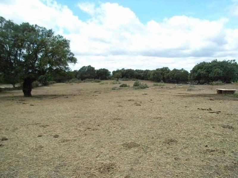 Land for sale