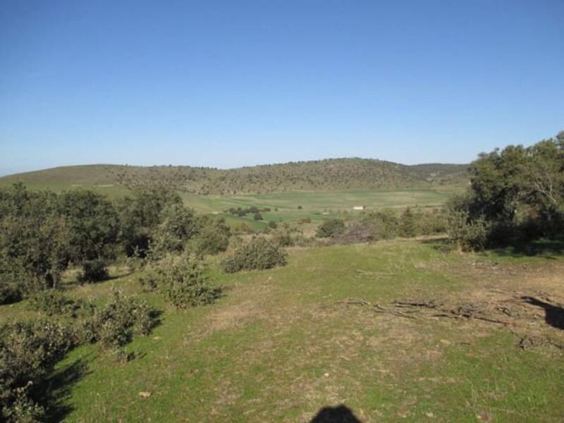 Auberge à vendre