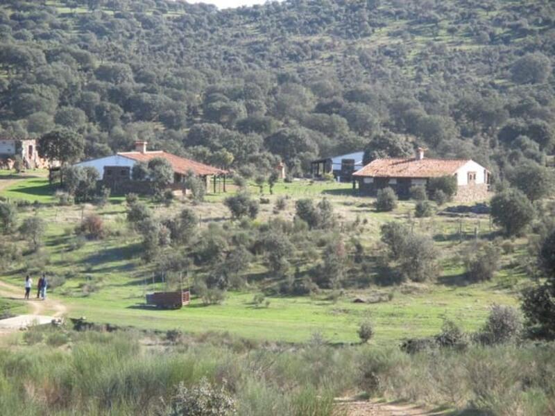 Country House for sale