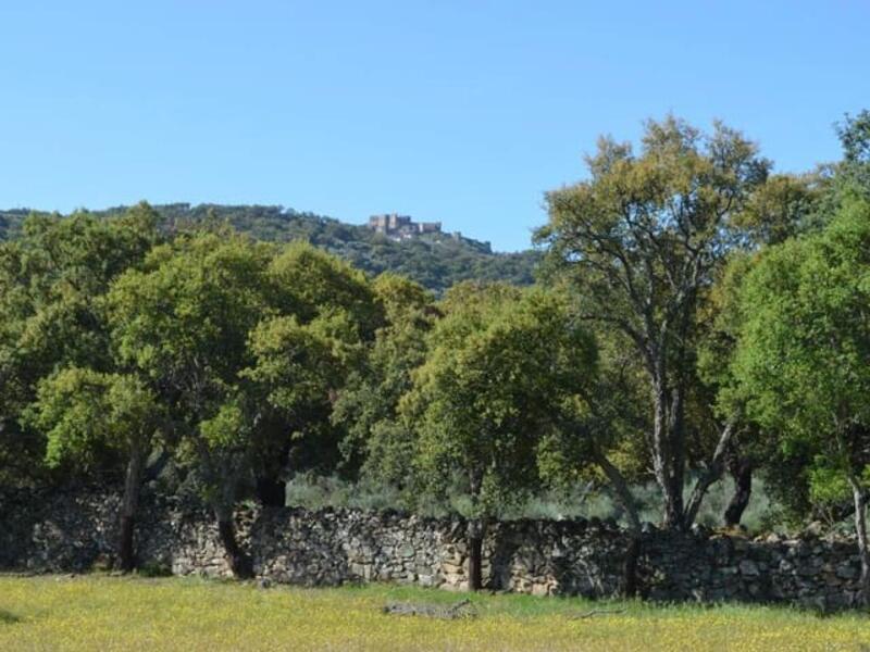 Auberge à vendre