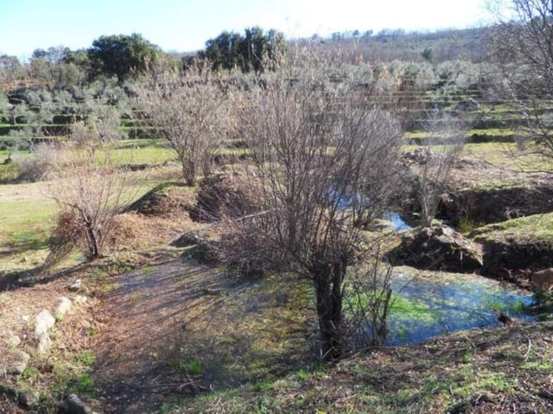 Terrain à vendre dans Hoyos, Cáceres