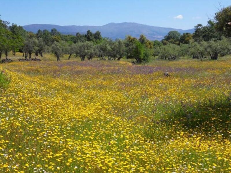 Terrenos en venta