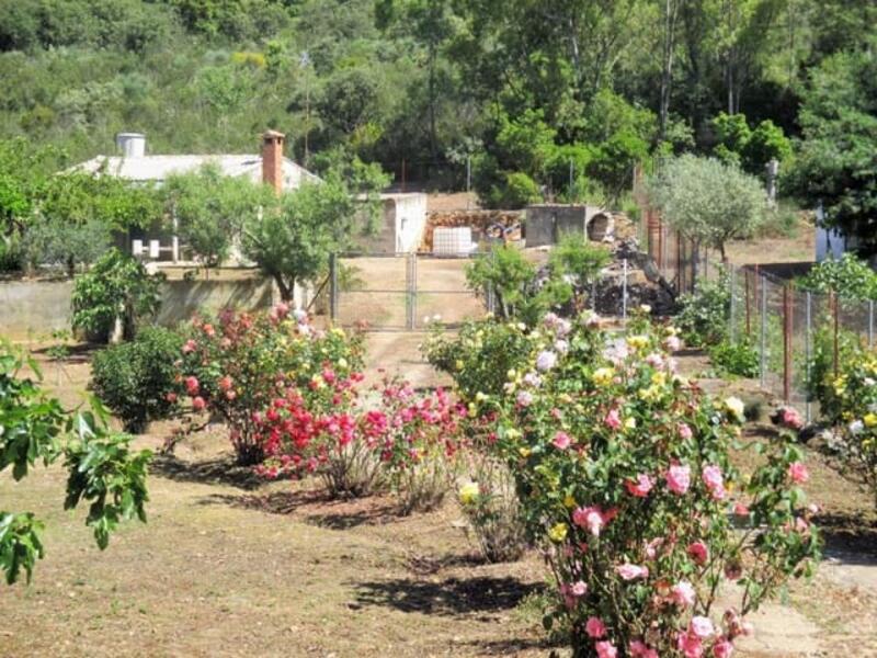 Country House for sale in Casas de Don Pedro, Badajoz