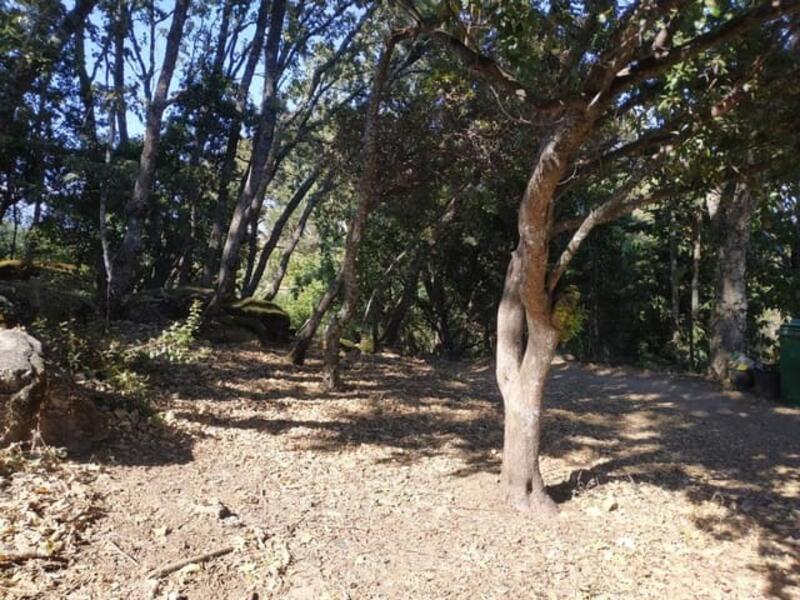 Casa de Campo en venta en Jaraiz de la Vera, Cáceres