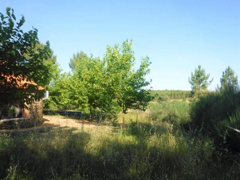 Auberge à vendre