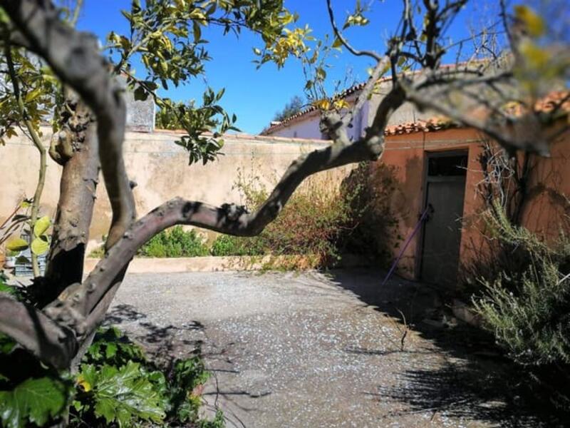 Maison de Ville à vendre