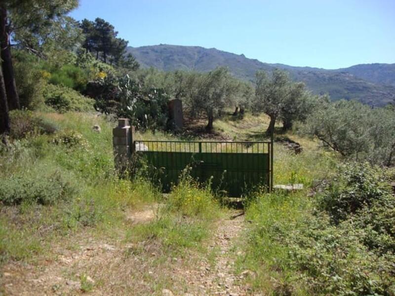 Land for sale in Valverde del Fresno, Cáceres