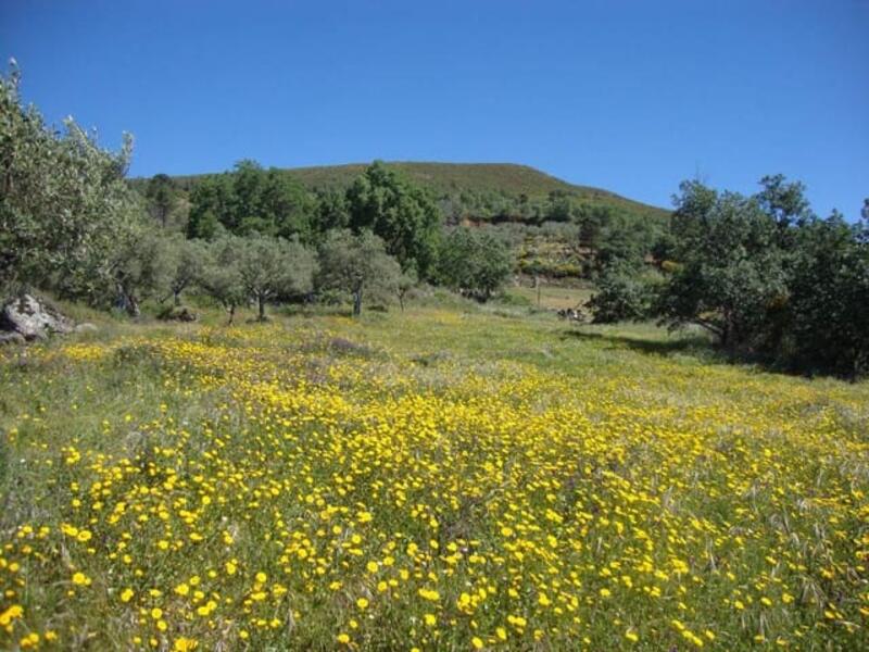 Terrenos en venta