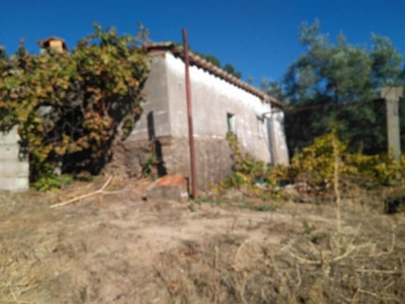 Terrenos en venta